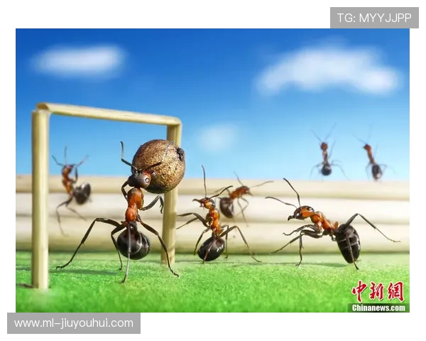 蚂蚁齐心协力搬运巨大足球展现团队精神与合作力量奇观